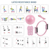 Pilates Ring And Ball Set Pilates Equipment Set Fitness Equipment With Resistance Band Portable Workout Tool For Home Gym Studio